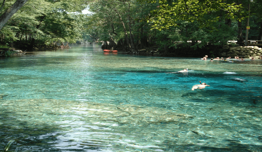 12 Best Springs in Florida For A Relaxing Soak