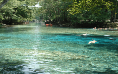 12 Best Natural Springs in Florida For A Relaxing Soak