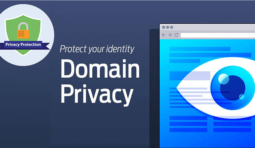 10 Reasons You Need Domain Privacy Protection (2022 Guide)
