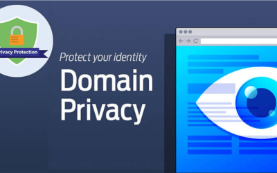 10 Reasons You Need Domain Privacy Protection (2022 Guide)